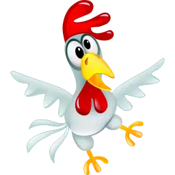 gift rooster